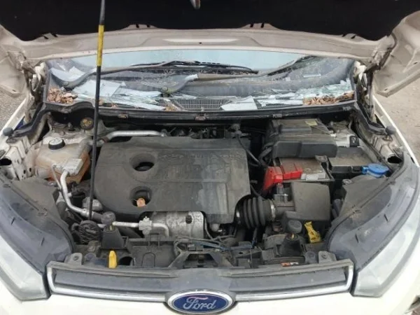 FORD ECOSPORT MOTOR UGJE 1.5 DIESEL  MK1 2013-2019 CN1Q-6006-CA