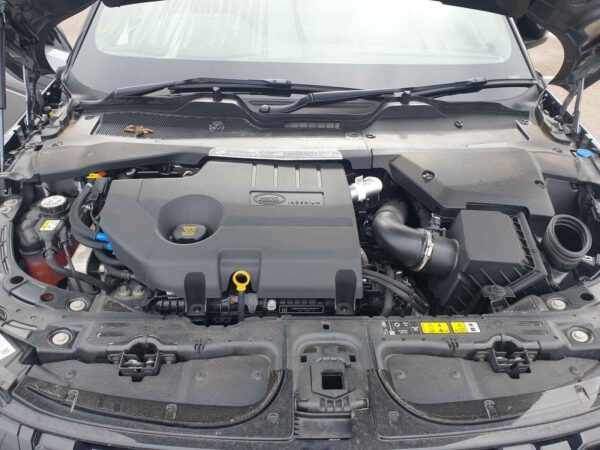 RANGE ROVER EVOQUE AJ20 204DTY (D200) MHEV Motor 2.0 Diesel 2023 201.20 PS