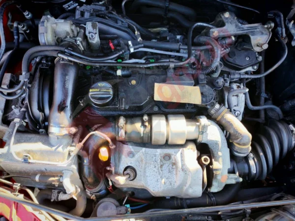Ford focus edge mk3 11-14 ngdb 1.6 diesel motor garantie euro 5