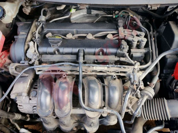 Ford fiesta mk7 08-12 hxja 1.6 benzin motor garantie euro 5