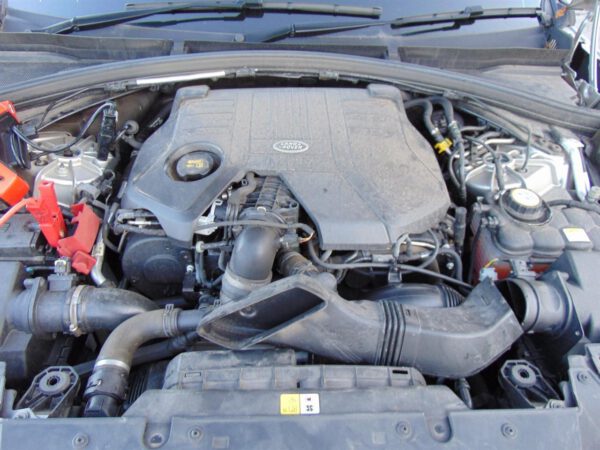 Range Rover Velar 17-24 L560 3.0 V6 Diesel  306DTA Wasserschaden – Austauschmotor Diesel geprüft