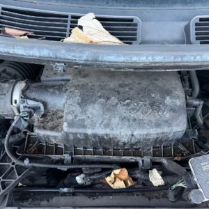 Motor 2020-2023 FORD TRANSIT CUSTOM 2.0 DIESEL   BKFB