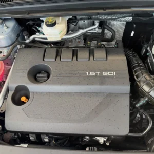 Motor 2024-2026 JAECOO 7 DELUXE 1.6 TGDI Benzine   SQRF4J16