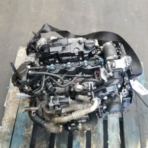 Motor FORD FIESTA 1.5 Diesel XUJM
